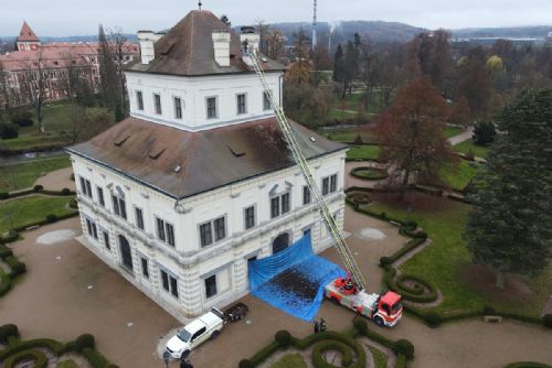 Foto: Plzeňští zvířecí záchranáři upravili čapí hnízdo v Ostrově