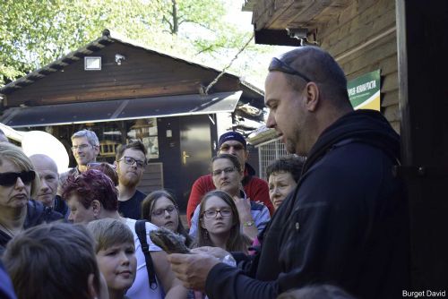 Foto: Podzimní festival ptactva přilákal v Plzni spoustu lidí