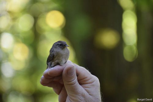 Obrázek - 