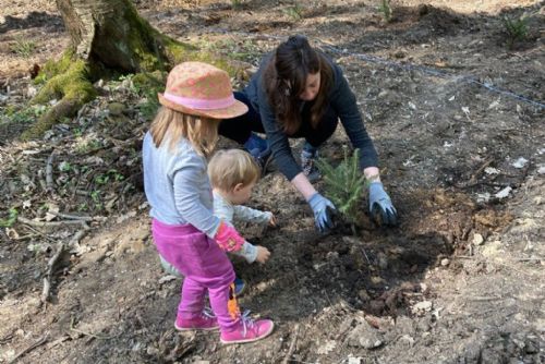 Foto: Pojďte s námi sázet les, vyzývají plzeňští lesníci