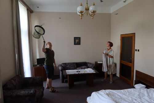 Foto: Pokoj hotelu Slovan v Plzni obsadilo 267 netopýrů