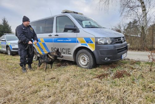 Obrázek - 