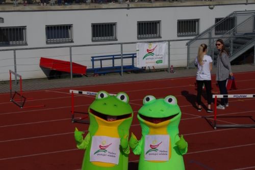 Obrázek - Předškolačkou - sportovkyní Plzně je Lucie Landmanová