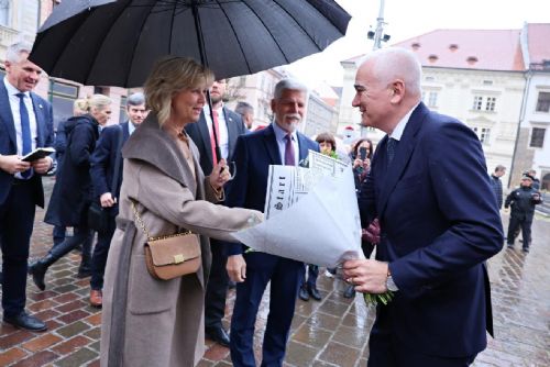 Obrázek - 
