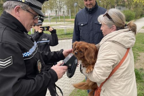 Foto: Při akci Kostička kontrolovali strážníci majitele psů 