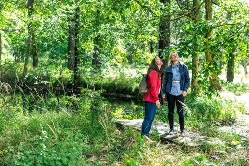 Foto: Přijďte se seznámit s tím, jaká proměna čeká Papírenský park