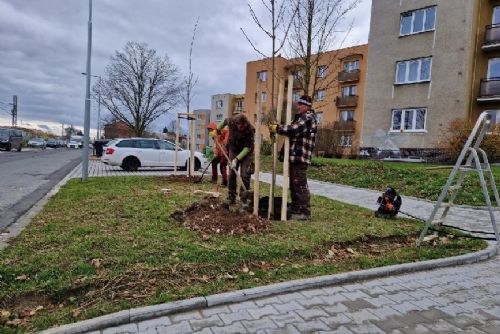 Obrázek - 