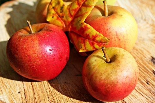 Foto: Sadaři na Rokycansku čekají letos dobrou úrodu jablek
