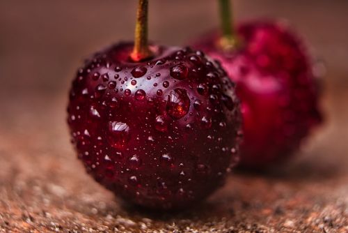 Foto: Sady v Nebílovech hlásí zájem o samosběr třešní