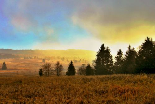 Foto: Šetrné hospodaření s lesy v Brdech získalo podporu Evropské unie