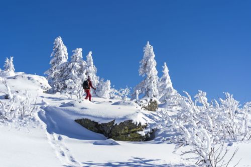 Foto: Sjezdovky, běžky, skialpy, dobré jídlo. V Bavorském lese je zima v plném proudu 