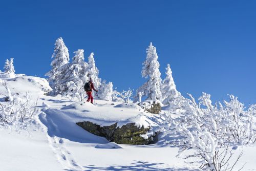 Obrázek - 