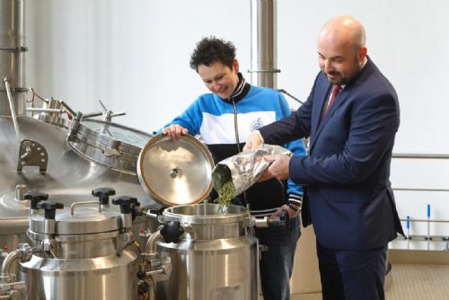 Foto: Slavnosti svobody v Plzni budou mít své pivo, ponese název Veterán 