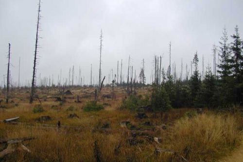 Foto: Správa NP Šumava zesiluje dohled v oblasti Březníku a projednává omezení vstupu