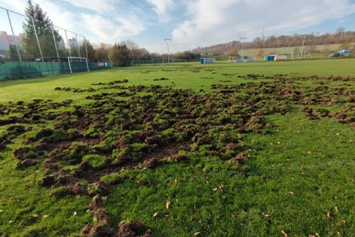 Foto: Stop divočákům. Jednička přispěje fotbalistům Košutky milionem na plot 