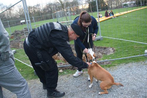 Foto: Strážníci na Borech kontrolovali pejskaře