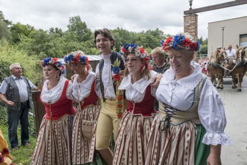 Obrázek - 