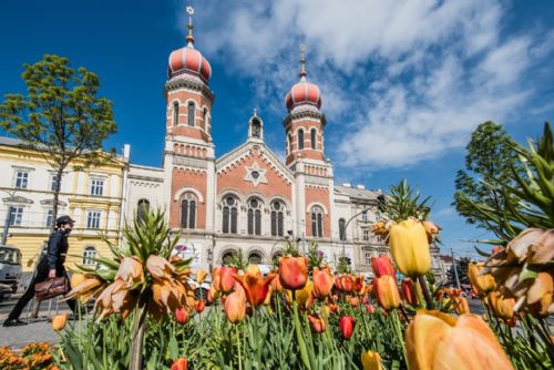 Foto: Tulipány kralovaly jarní Plzni, vystřídají je letničky