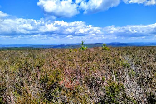 Foto: Turisté mohou putovat po Brdské hřebenovce