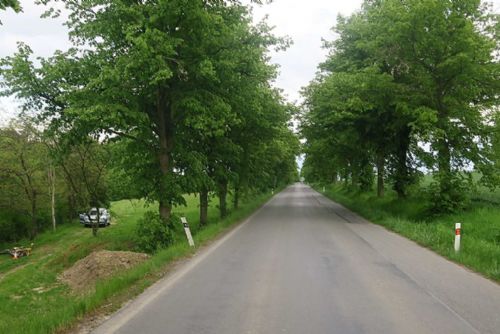 Obrázek - 