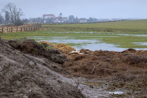 Obrázek - 