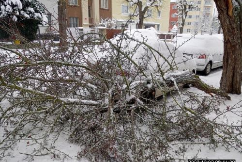 obrázek:Ulomená větev stromu dopadla na Slovanech za zaparkované auto 