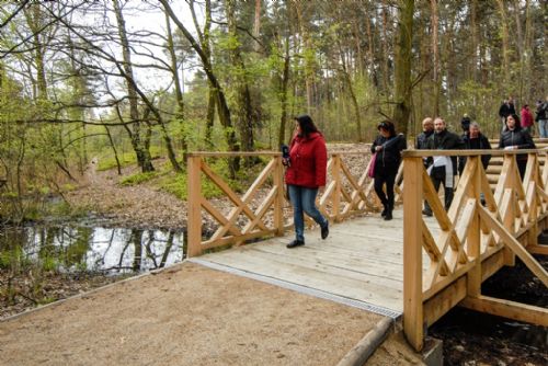 Foto: V Lesoparku Ostende čekají návštěvníky nové cesty i lesní tůně    