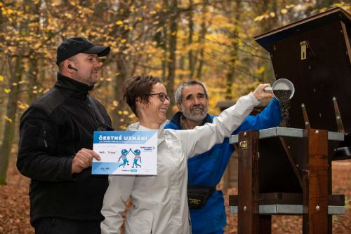 Foto: V plzeňském parku Homolka jsou nová krmítka