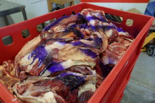 Foto: V řeznictví v Chotěšově našli 800 kg masa neznámého původu