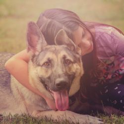 Váháte? Tady jsou důvody, proč si do rodiny pořídit psa