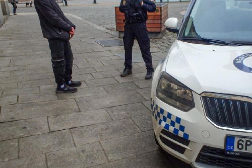 Foto: Ve stanu i na ulici. Strážníci sbírali hledané 