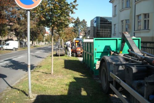Foto: Ve třetím plzeňském obvodu začne v pondělí první seč