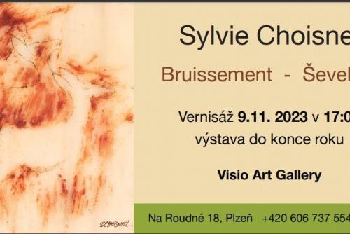 Foto: Ve Visio Art Gallery vystavuje Sylvie Choisnel