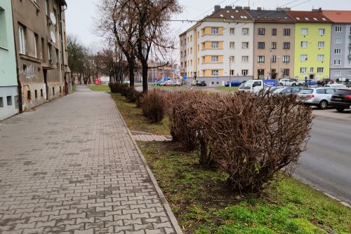 Foto: Vegetační klid využívají v Plzni k úpravě keřů, řezy čekají i stromy 