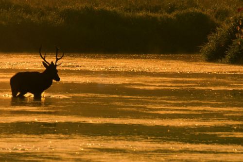 Foto: V Kině Beseda se bude v květnu besedovat s tvůrci