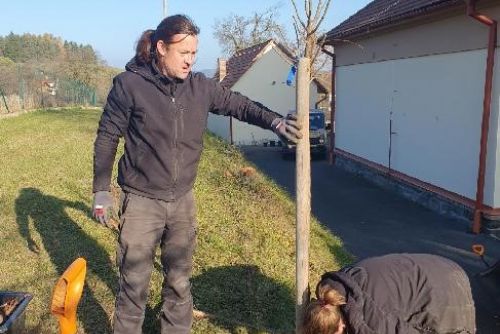 Obrázek - 