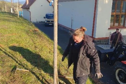 Obrázek - 