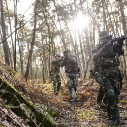 Vše, co potřebujete vědět o přežití