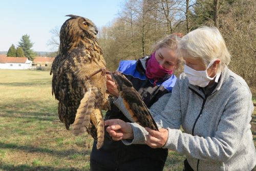 Foto: Výřici od potoka Třemošná čeká amputace křídla