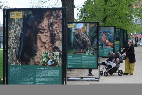 Foto: Výstava v sadech mapuje 30 let zvířecích záchranářů