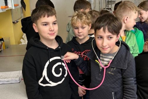 Foto: Vzdělávací projekt Medvídek Domažlické nemocnice hledá nové žáky