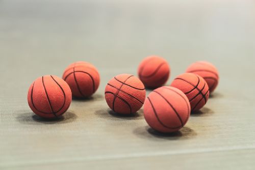 Foto: Z tréninkových center basketu a volejbalu budou akademie