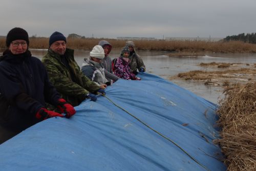 Foto: Zamrzlý Nový rybník je bez rákosí. A získá nové hnízdící podložky pro racky