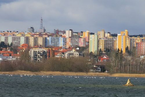 Obrázek - 
