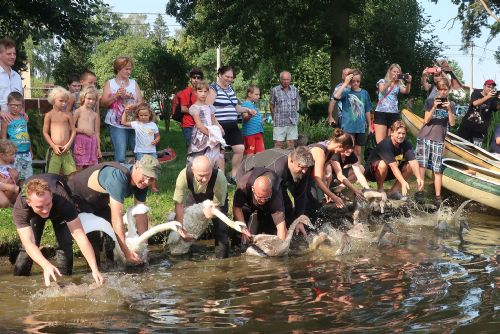Obrázek - 
