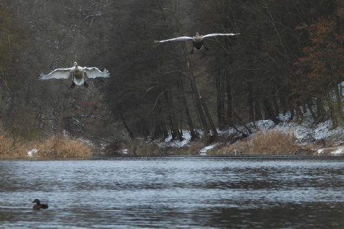 Obrázek - 