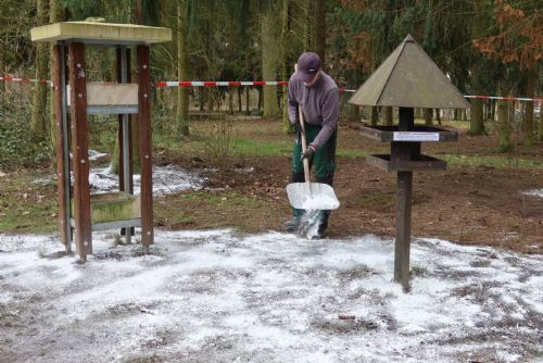 Foto: Zvířecí záchranáři žádají: Nekrmte ptáky v Borském parku!