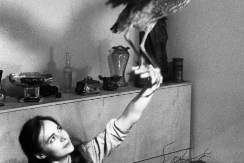 obrázek:Jan Ságl, Věra s volavkou, 1969