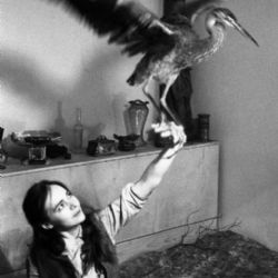 Jan Ságl, Věra s volavkou, 1969