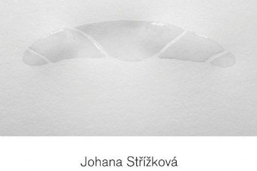 obrázek:Johana Střížková / Sated, Cheese, Raw